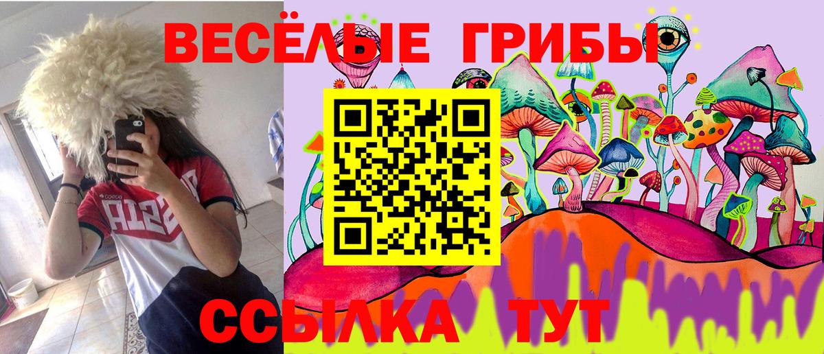 Галлюциногенные грибы Psilocybe Красноармейск